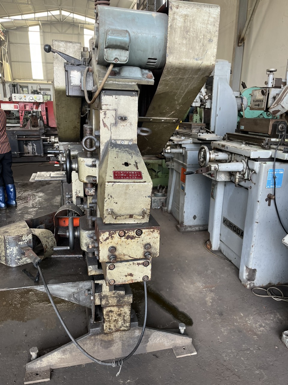 z5017564573256_b249e8ca92bd90e2fe445a5c7ae777af